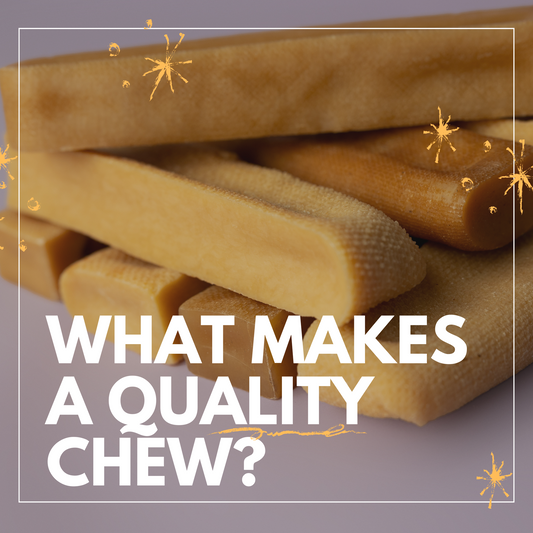 What Makes a High-Quality Dog Chew? (Ingredients to Avoid)