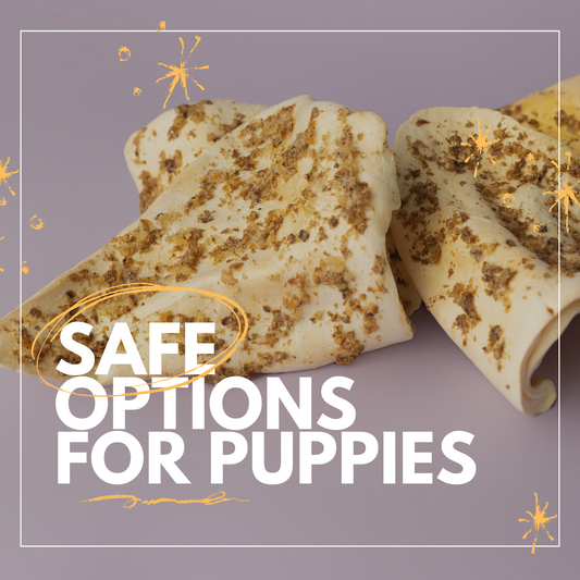 Best Puppy Teething Chews: Safe Options for Growing Dogs | Duck Dogz