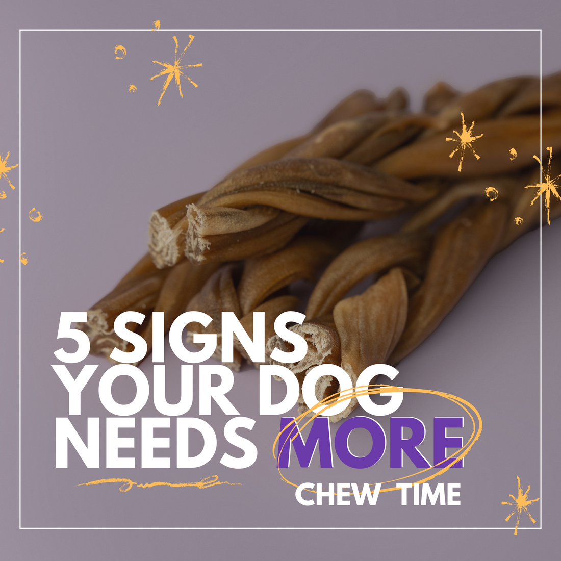 5 Signs Your Dog Needs More Chew Time