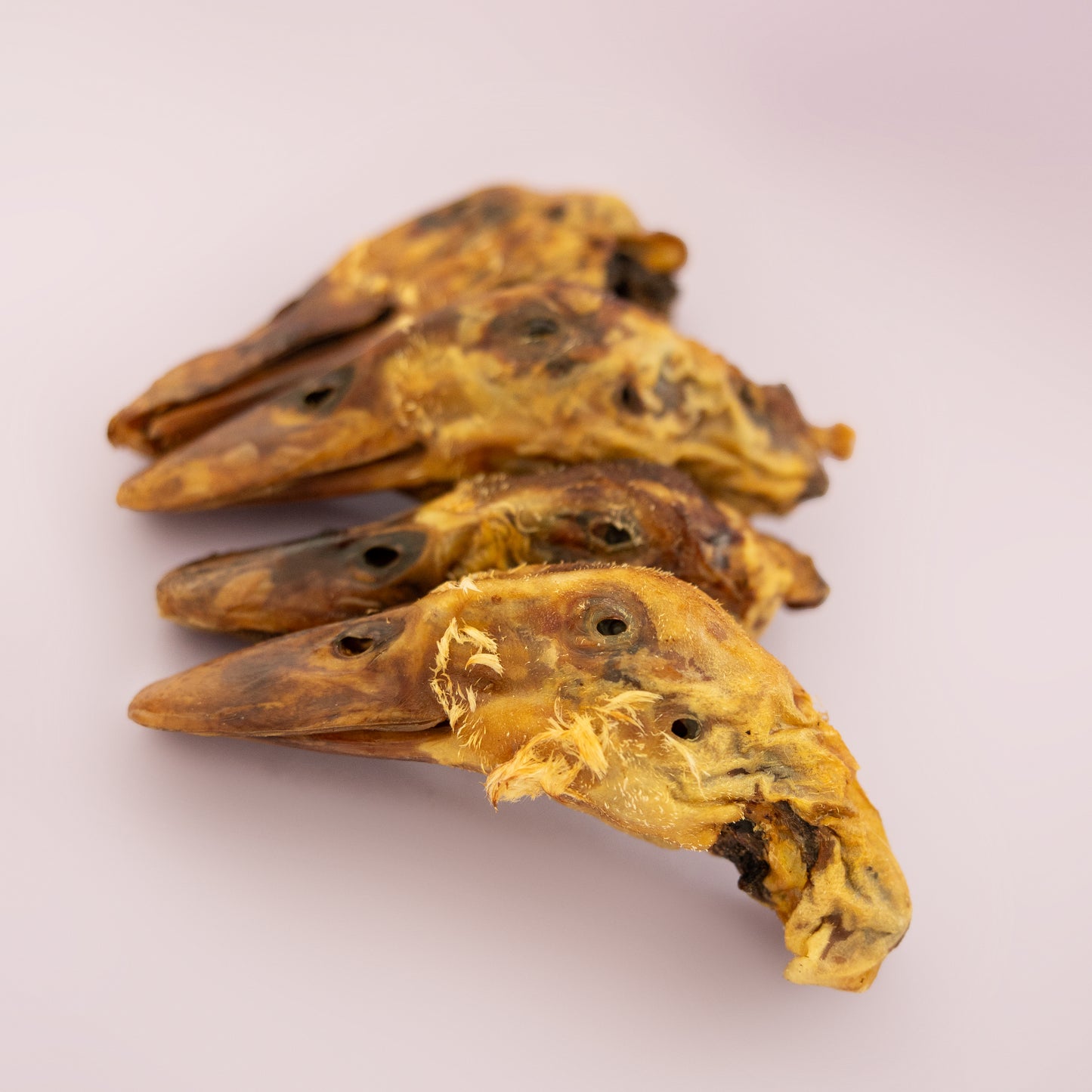 Duck Parts