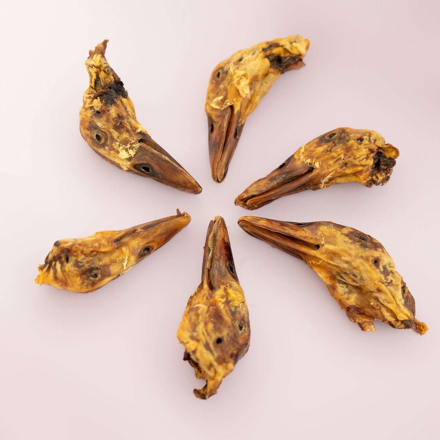 Duck Parts
