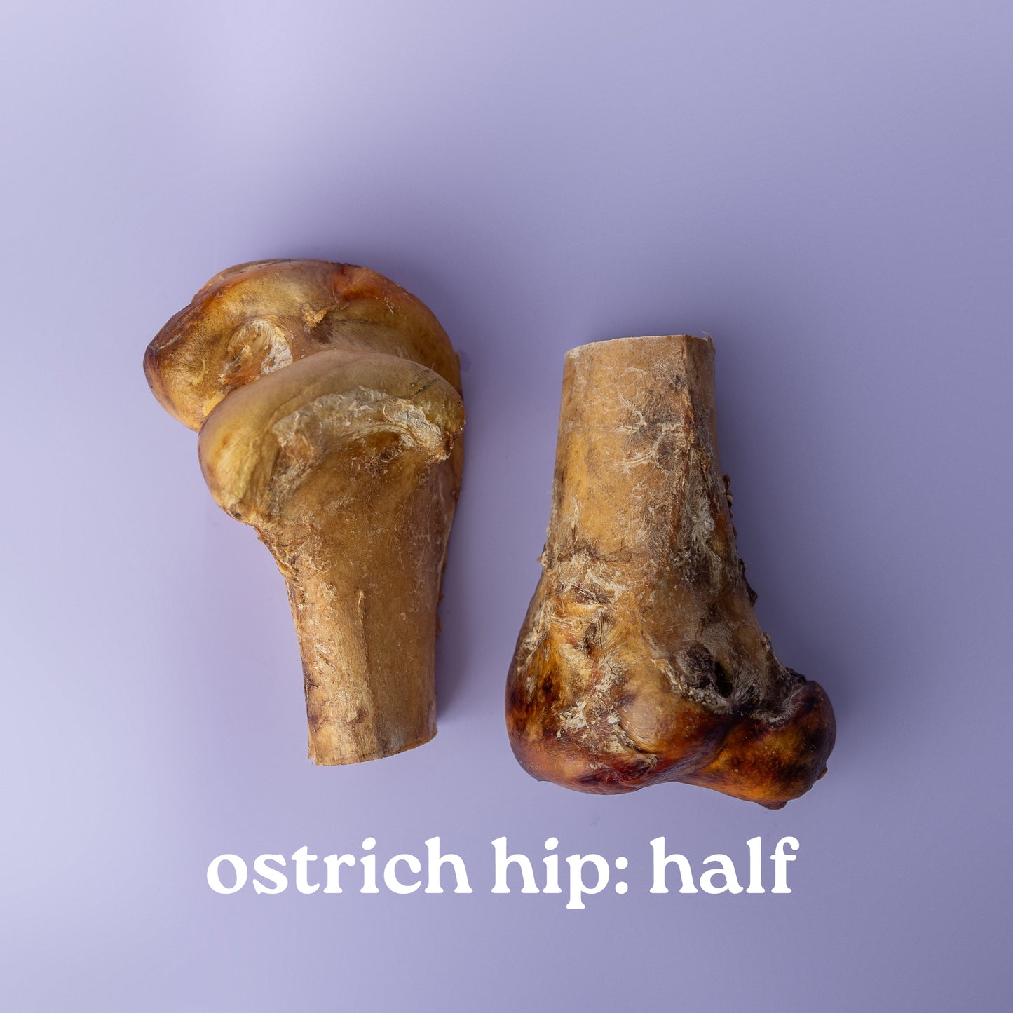 Two pieces of ostrich hip bone on a purple background with text 'ostrich hip: half'.