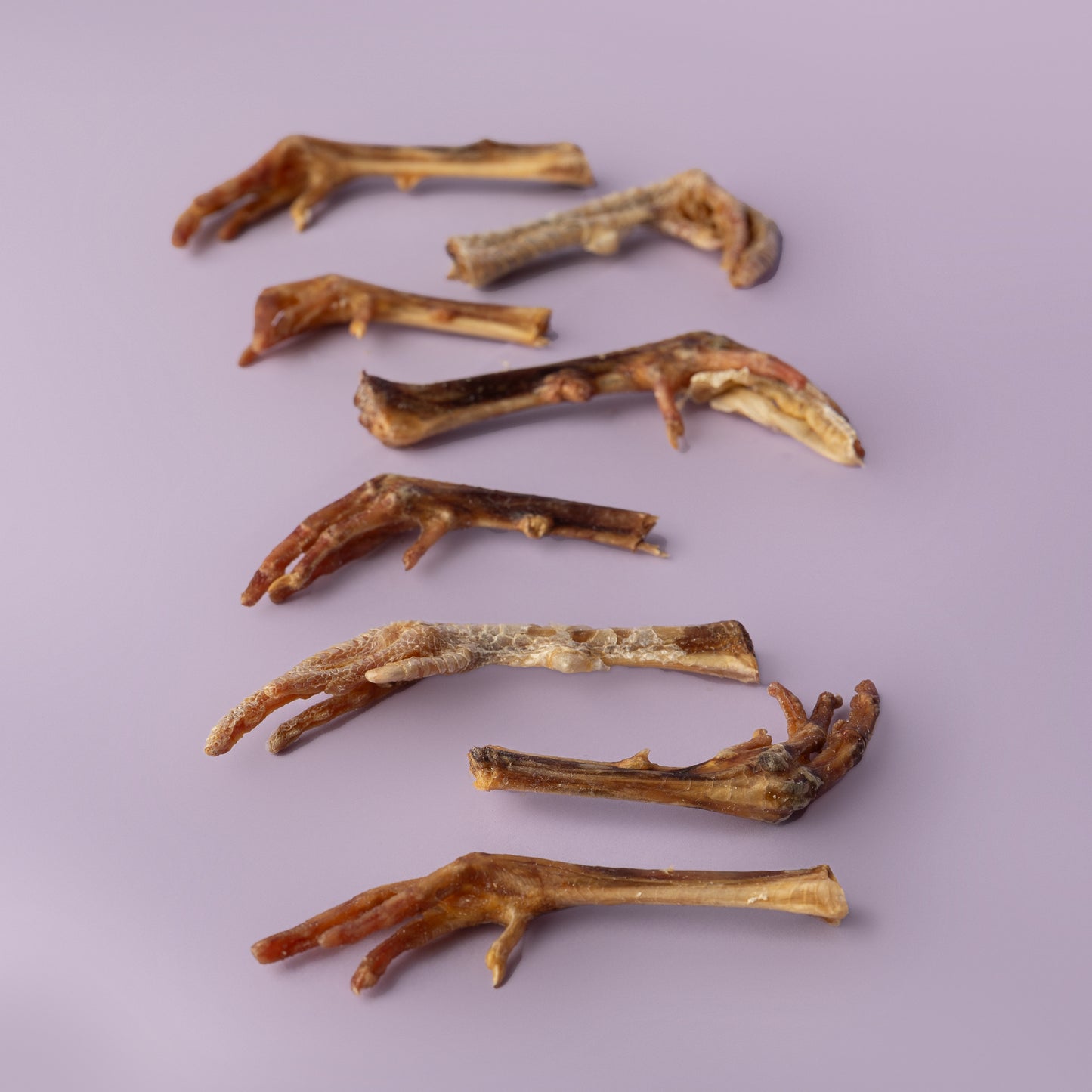 FEET! Chicken Feet, Duck Feet, Pheasant Feet, Turkey Feet