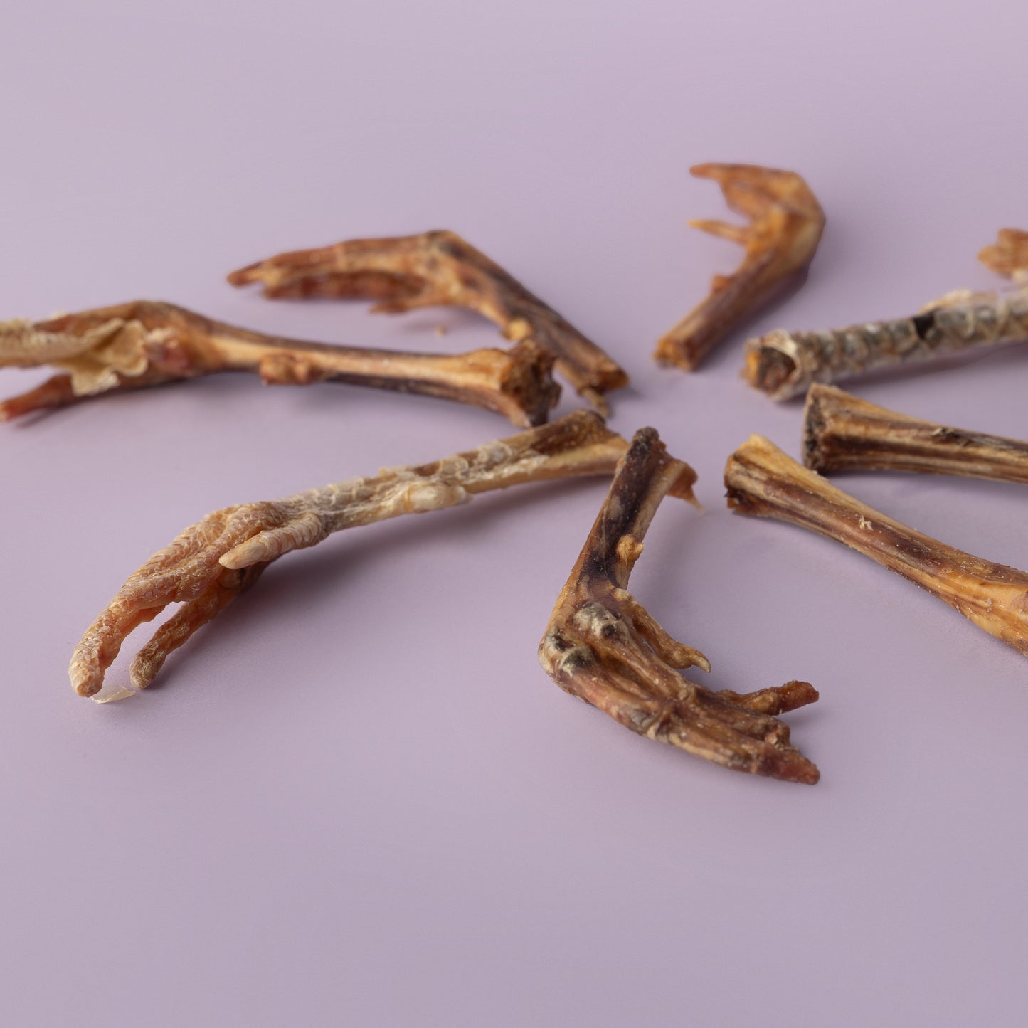 FEET! Chicken Feet, Duck Feet, Pheasant Feet, Turkey Feet