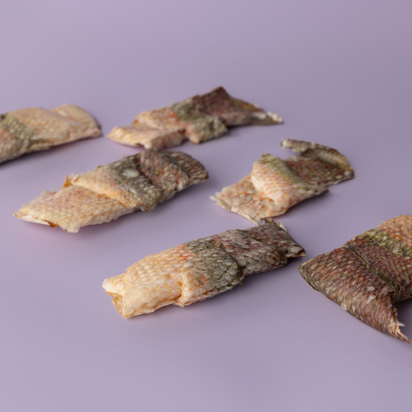 Fish: Mahi Mahi, Snapper, Herring, Cod, & More