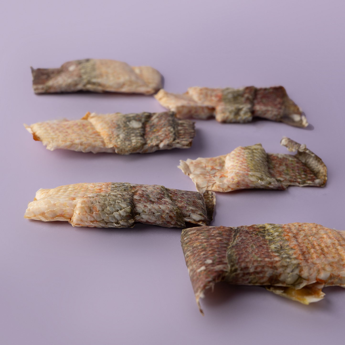 Fish: Mahi Mahi, Snapper, Herring, Cod, & More