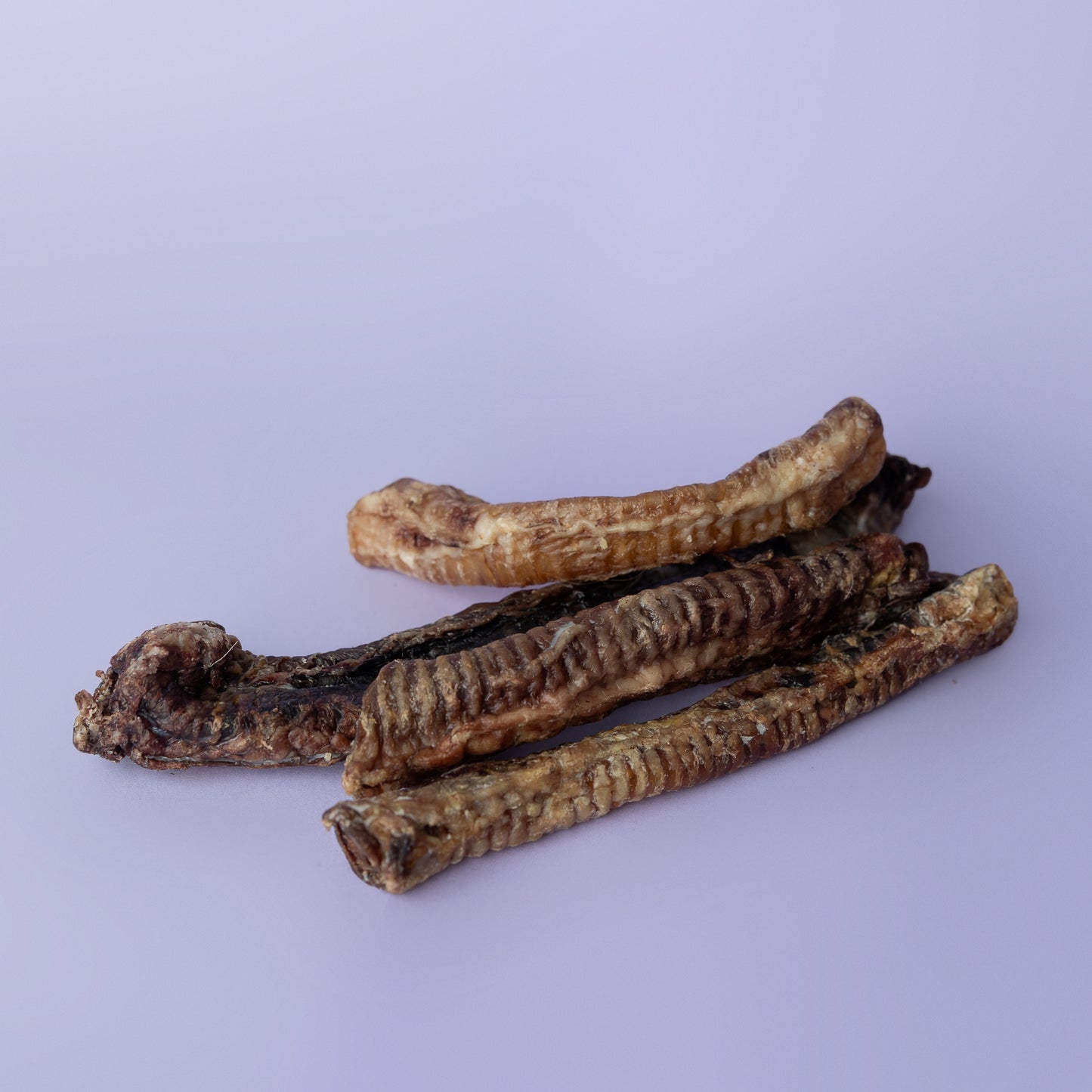 Trachea: Beef and Lamb