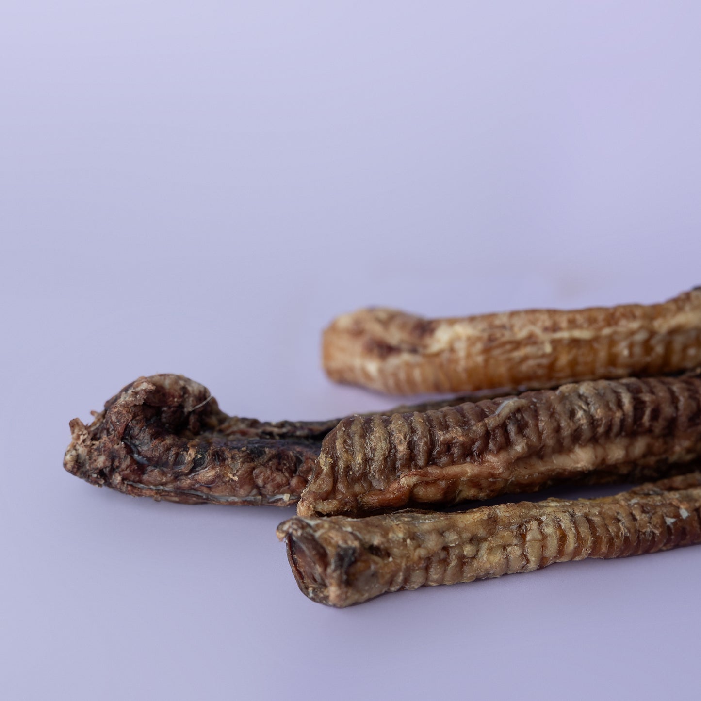 Trachea: Beef and Lamb