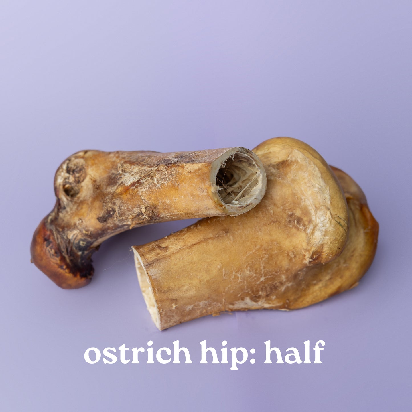 Ostrich hip bone on a purple background with text 'ostrich hip: half'.