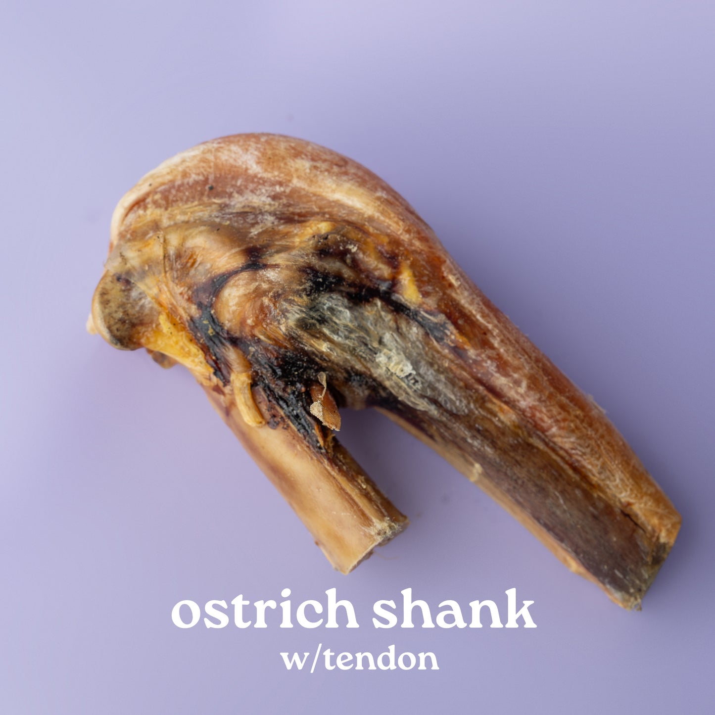 Ostrich shank with tendon on a purple background