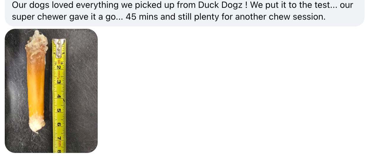 "Customer review photo showing dog enjoying beef cheek stick - long-lasting chew testimonial"