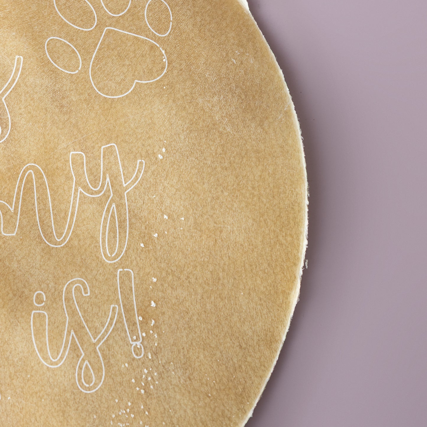 Frisbee Collagen Disc