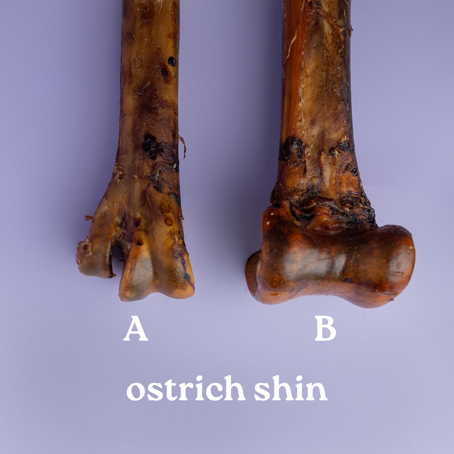 Two ostrich shins labeled A and B on a purple background