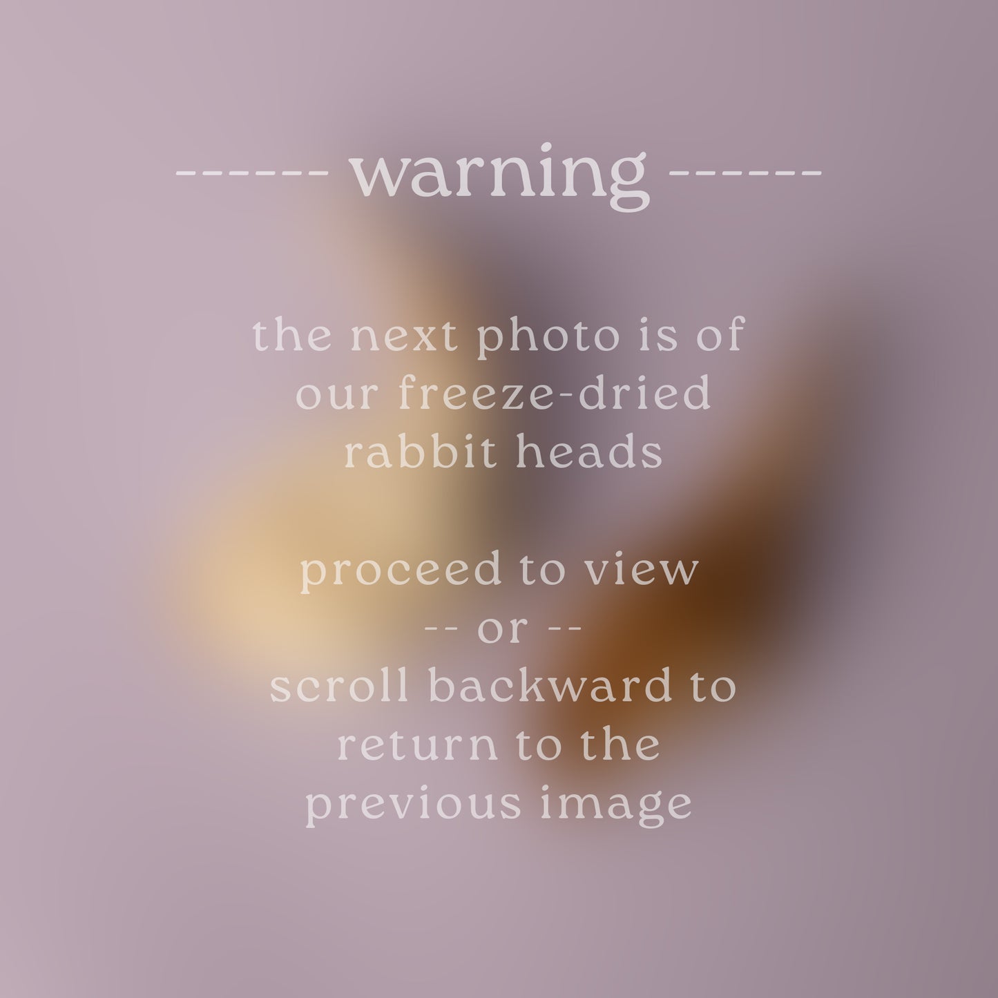 Little Bunny Foo-Foo (Rabbit Feet, Ears, Rolls, Head)