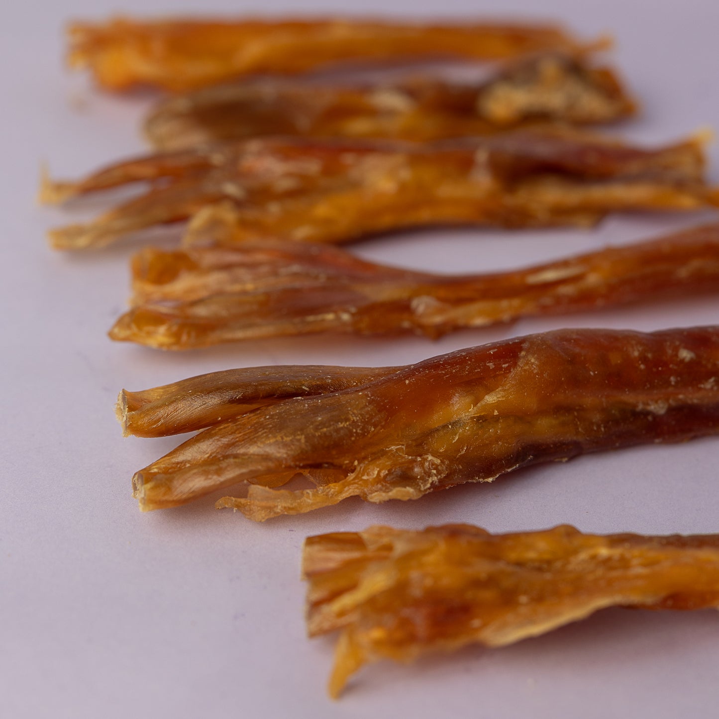 beef tendon for dogs, thick tendon chew for dogs, robust dog chew tendon, teething large breed dog chew, healthy dog chew for big dogs