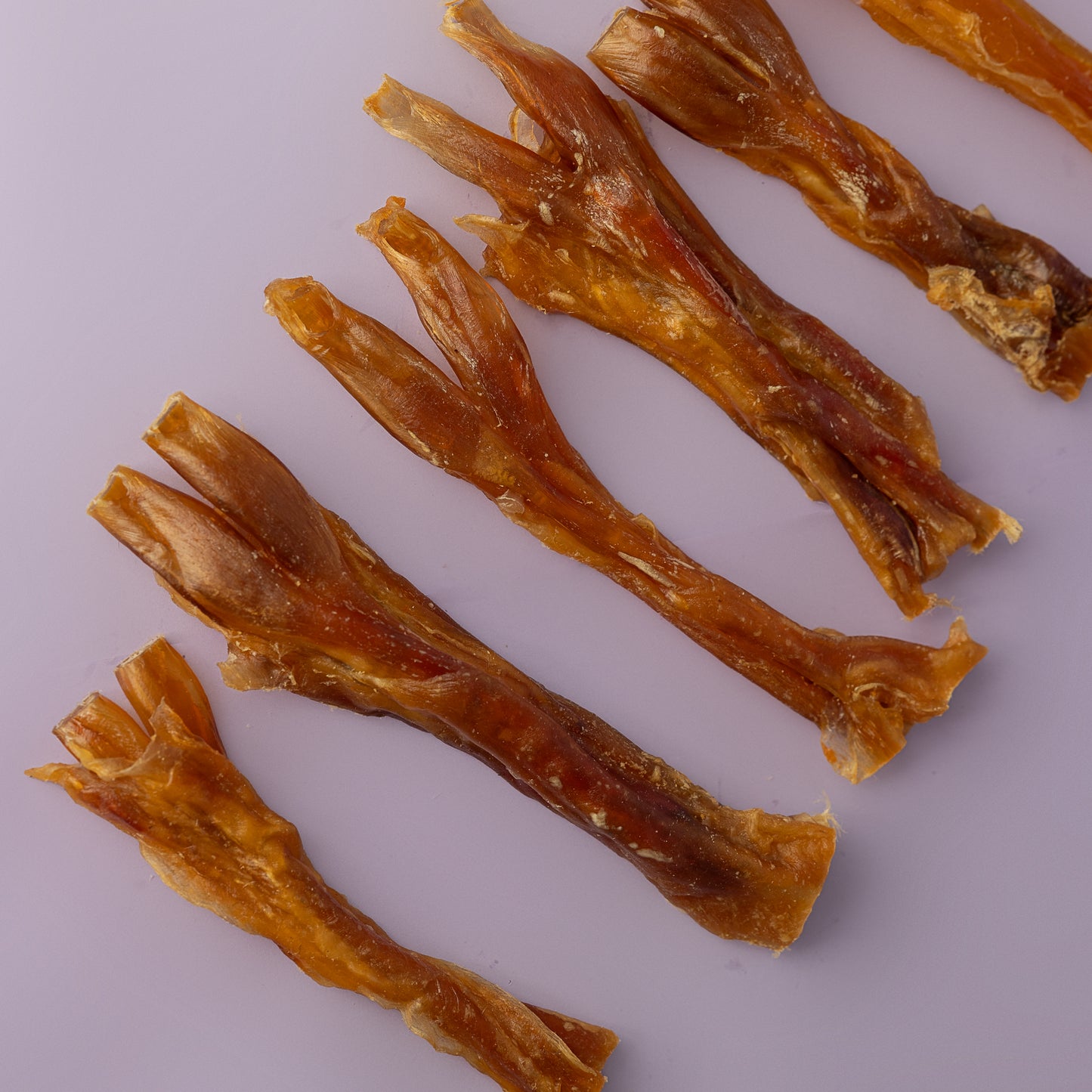 overhead photo of thick beef tendons for dog chews, beef tendon for dogs, thick tendon chew for dogs, robust dog chew tendon, teething large breed dog chew, healthy dog chew for big dogs