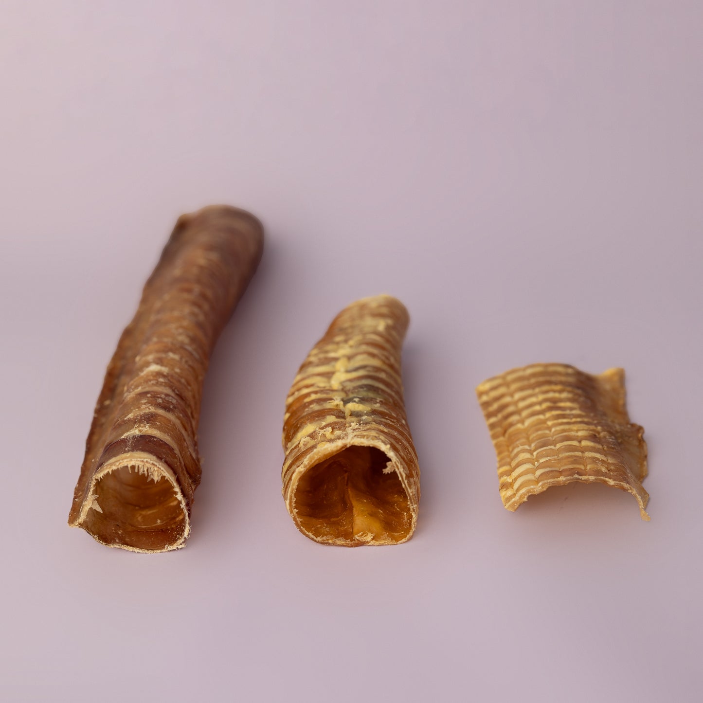 Beef trachea dog chews in different sizes - small, medium, large natural dog treats