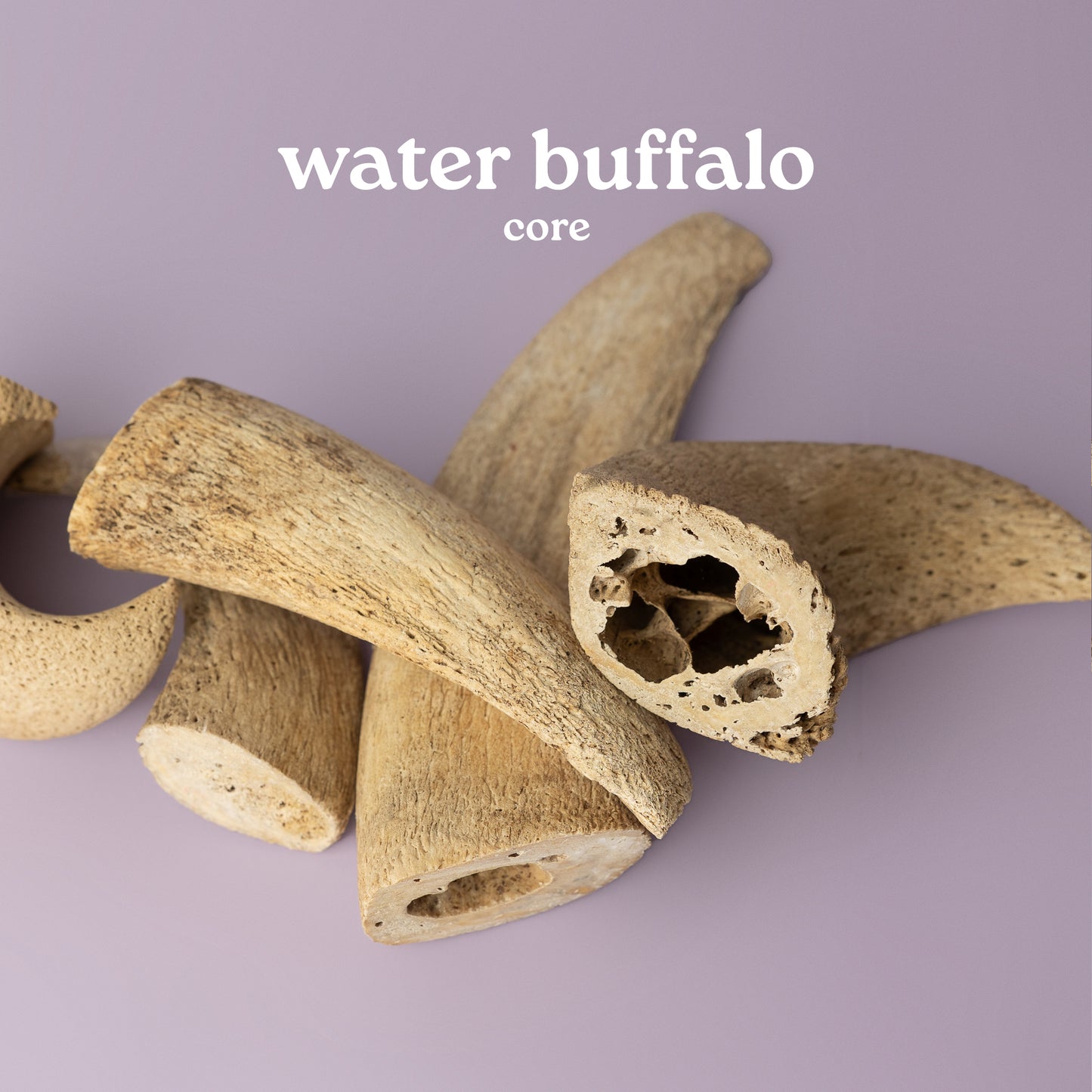 buffalo core for dogs, crunchy dog chew, antler alternative dog chew, safe chew for senior dog, safe chew for teething puppy on purple background