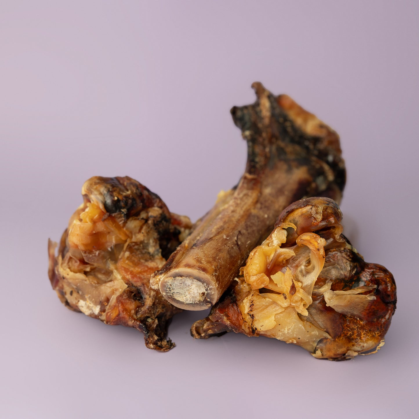 ostrich dog chew full of marrow., powerful jaws and the most powerful dog chewer; ostrich tendon bone