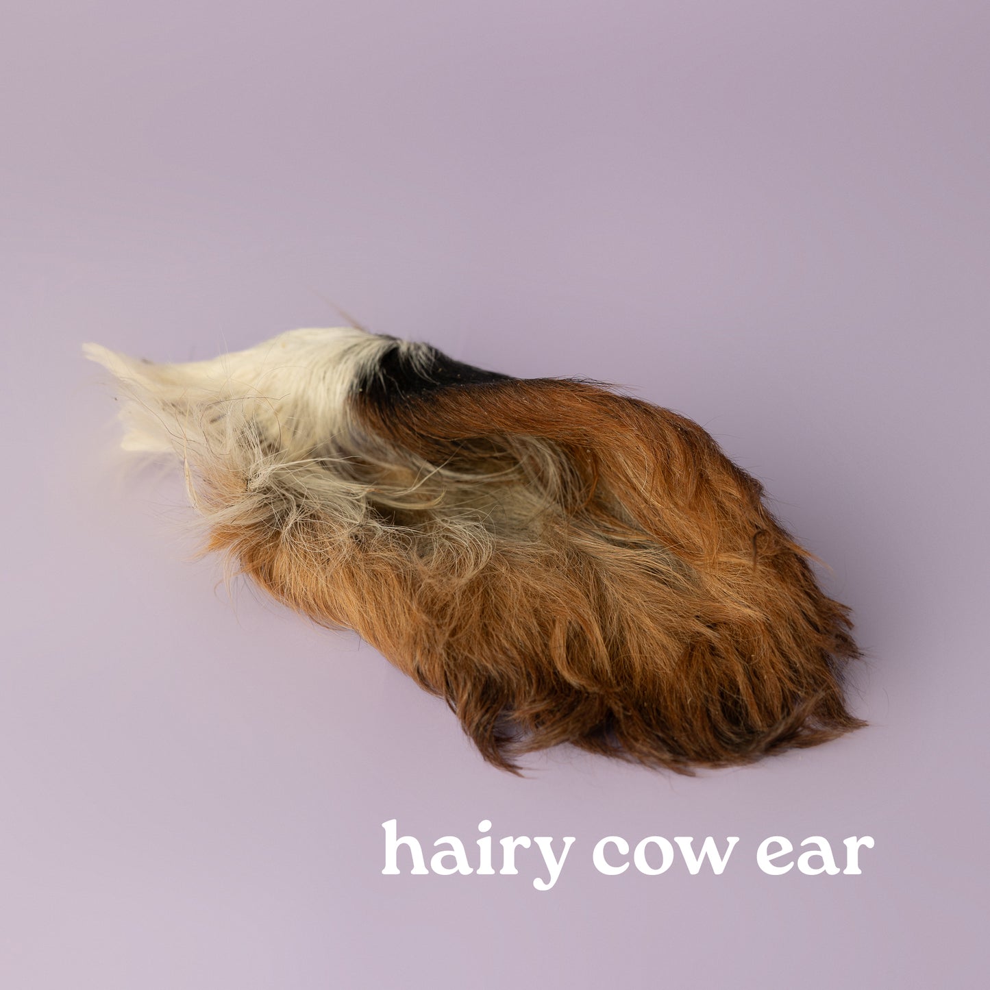 hairy cow ear for dog, cheaper alternative to ugly chew for dogs, irresistible dog chew on purple background