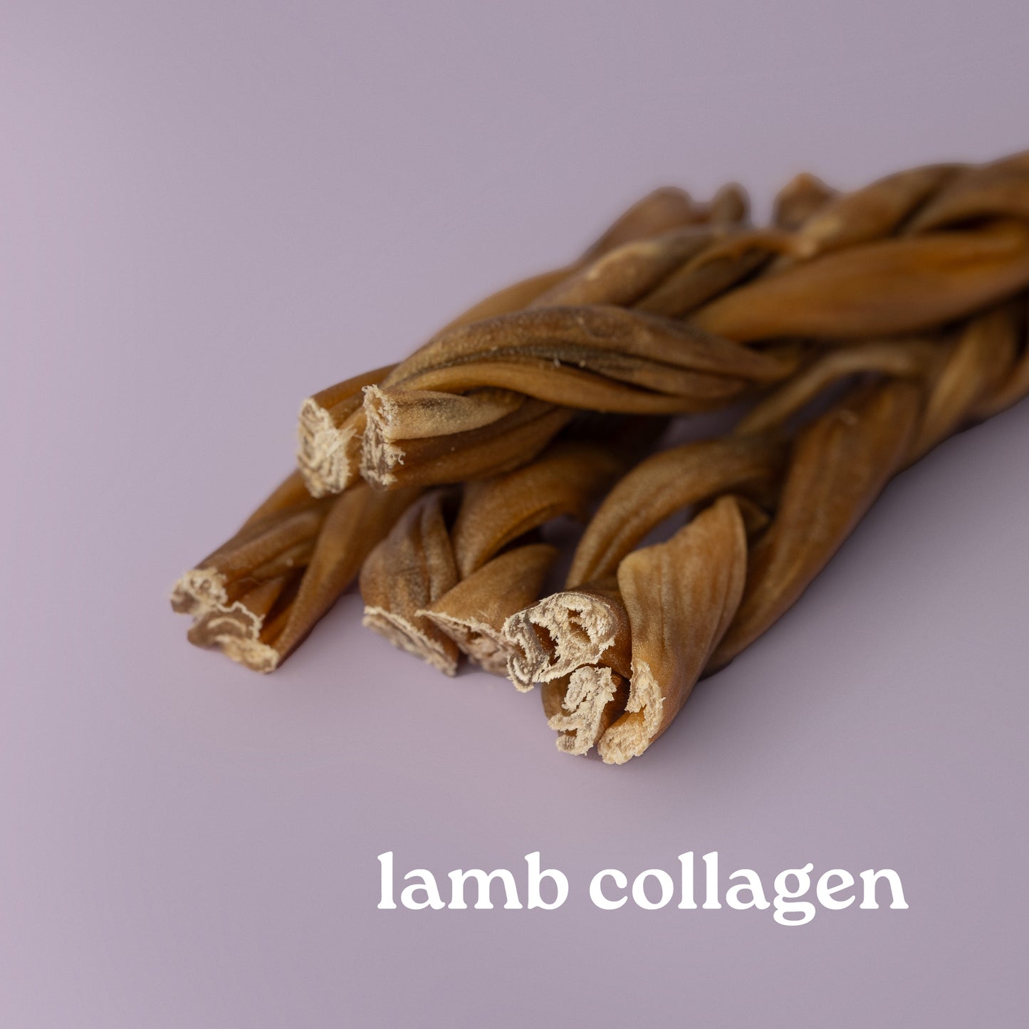 lamb braid for dogs, pallatable chew for dogs, best dog braid for puppies, bully stick alternative for dogs