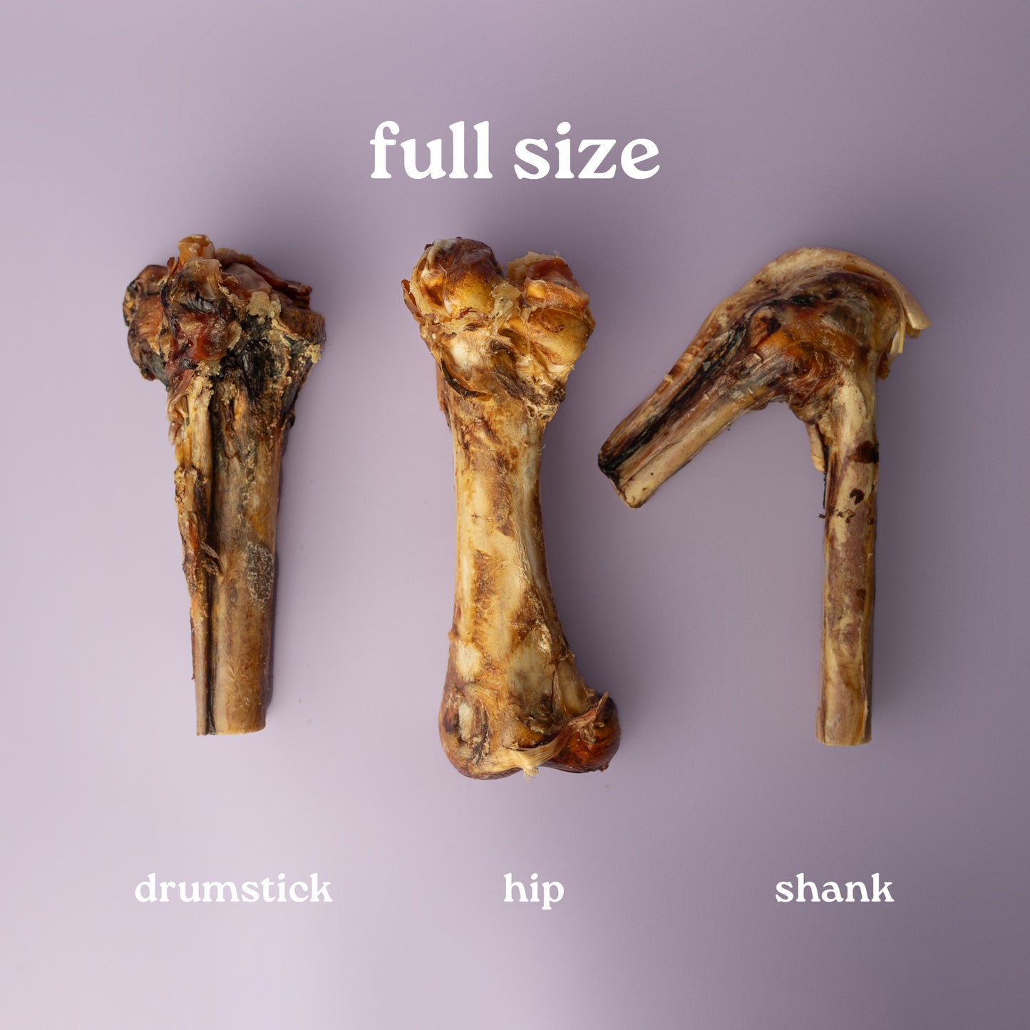 Three different sizes of bones labeled 'drumstick', 'hip', and 'shank' on a purple background.