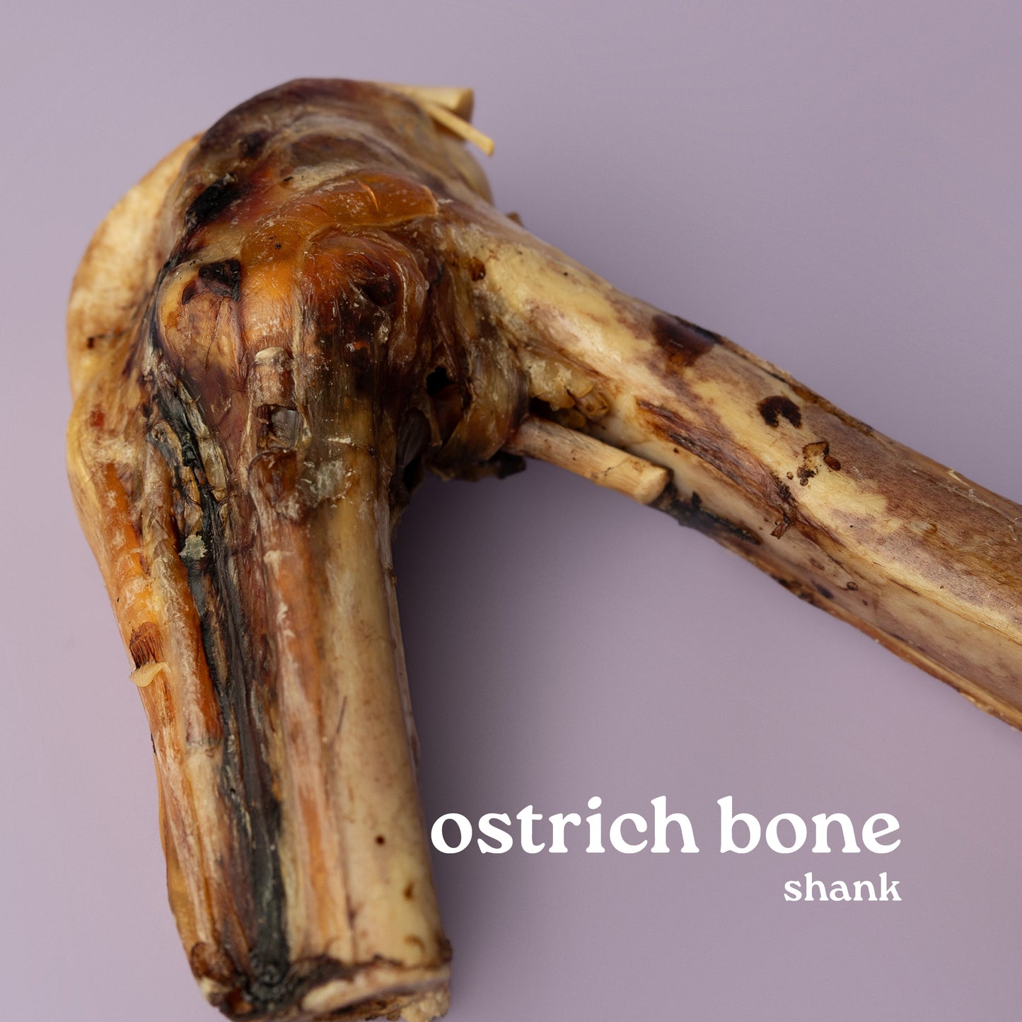 air-dried ostrich bones for dogs, strongest dog bone, dog bone for power chewer, ostrich for power chew, non-splintering dog bone on purple background