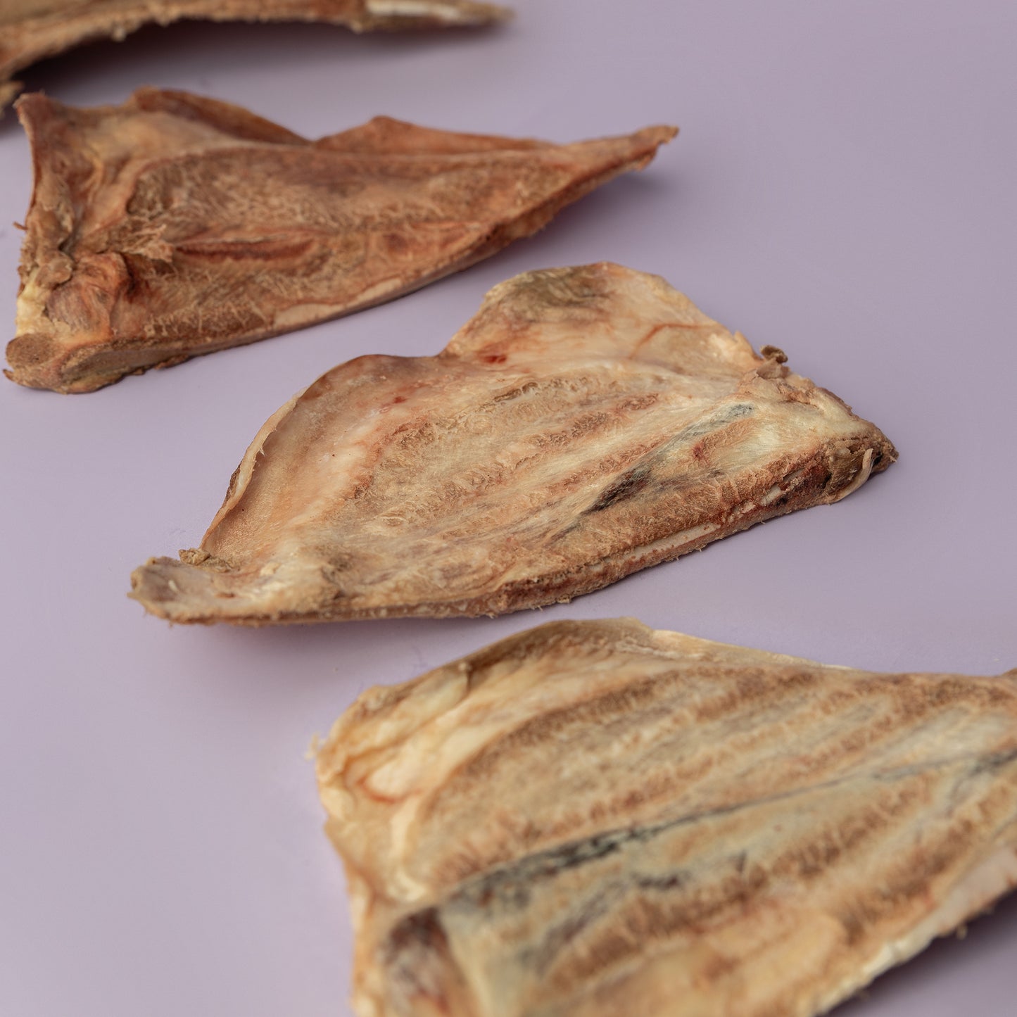 dehydrated bison chew for dogs, teething puppy chew, long lasting puppy entertainment chew, chew for bored puppy, power chew well liked by dogs