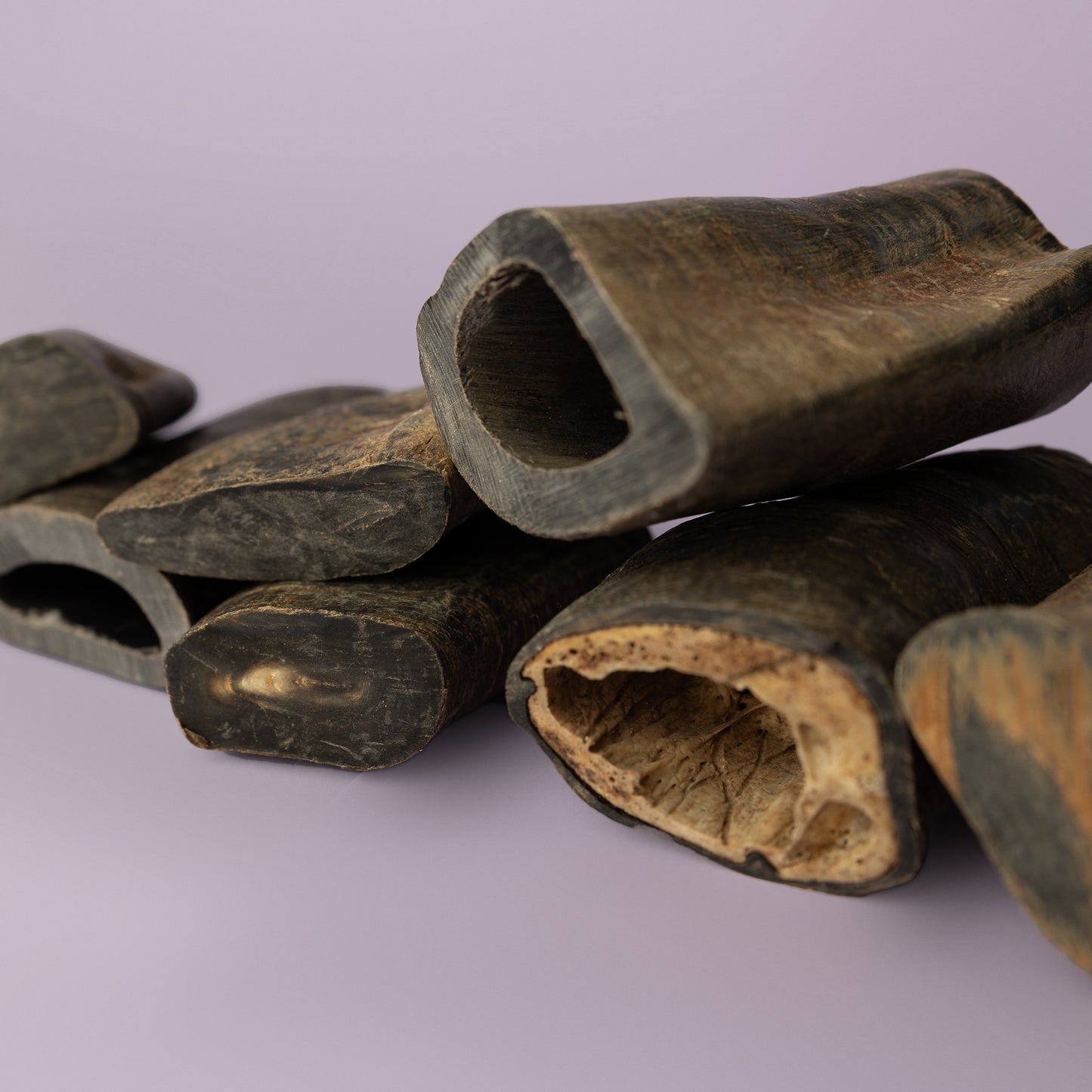 water buffalo horn for dogs provides aggressive chewers hours and years of use. Horn pictured on purple background
