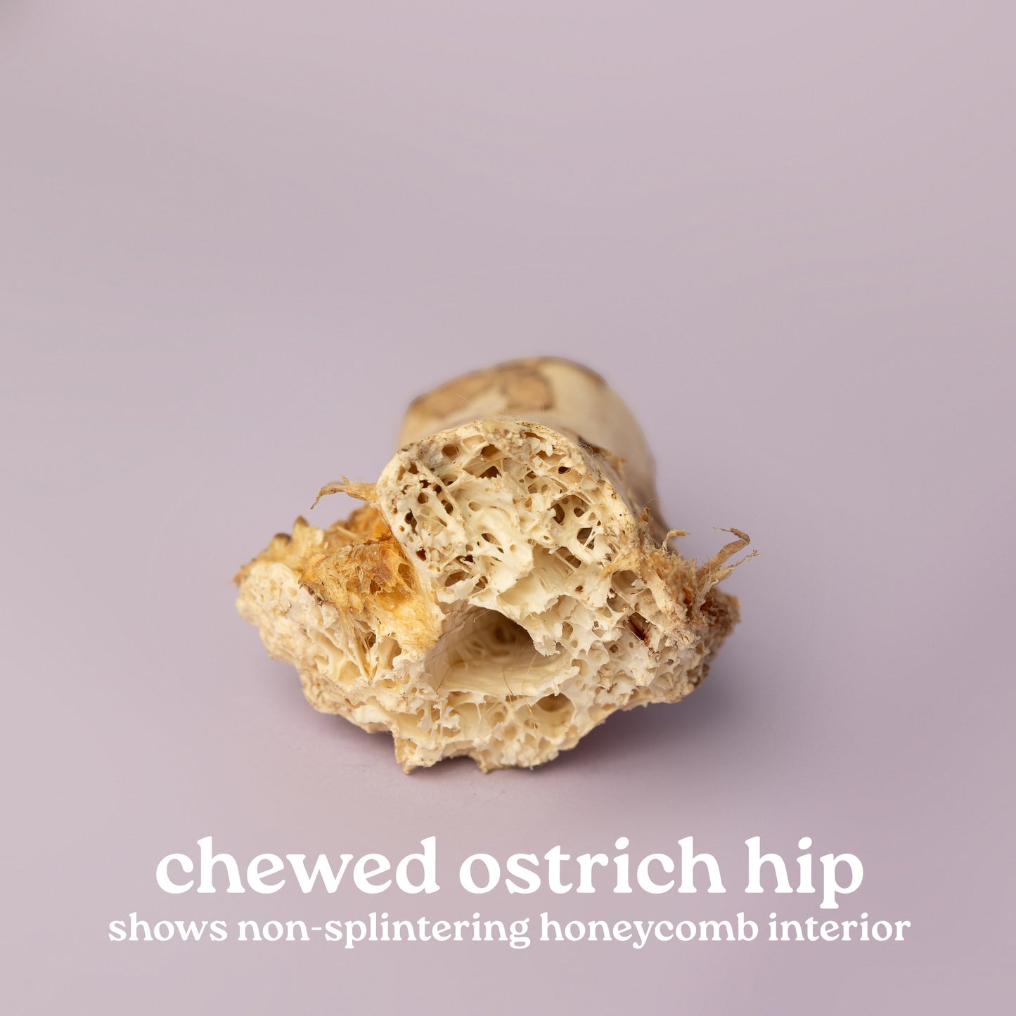 Exotics: Ostrich Bones