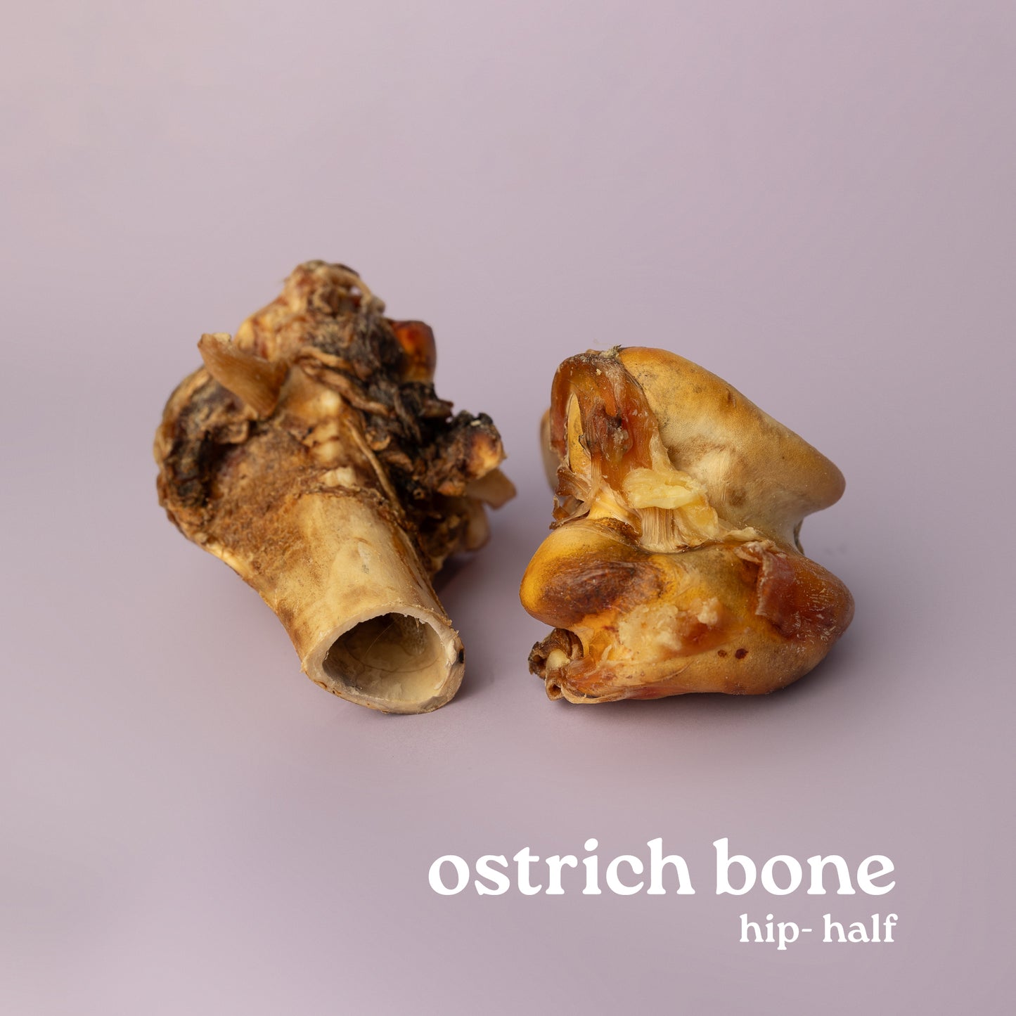 Exotics: Ostrich Bones
