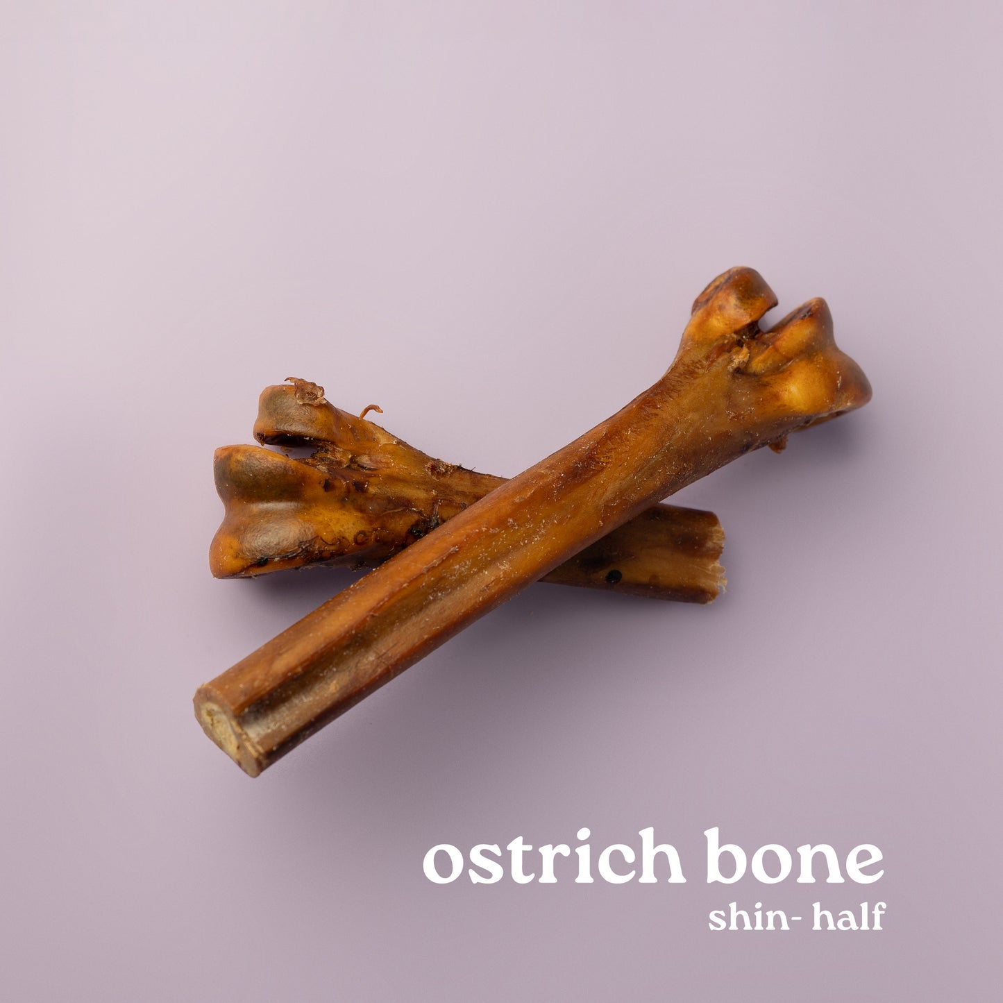 Exotics: Ostrich Bones