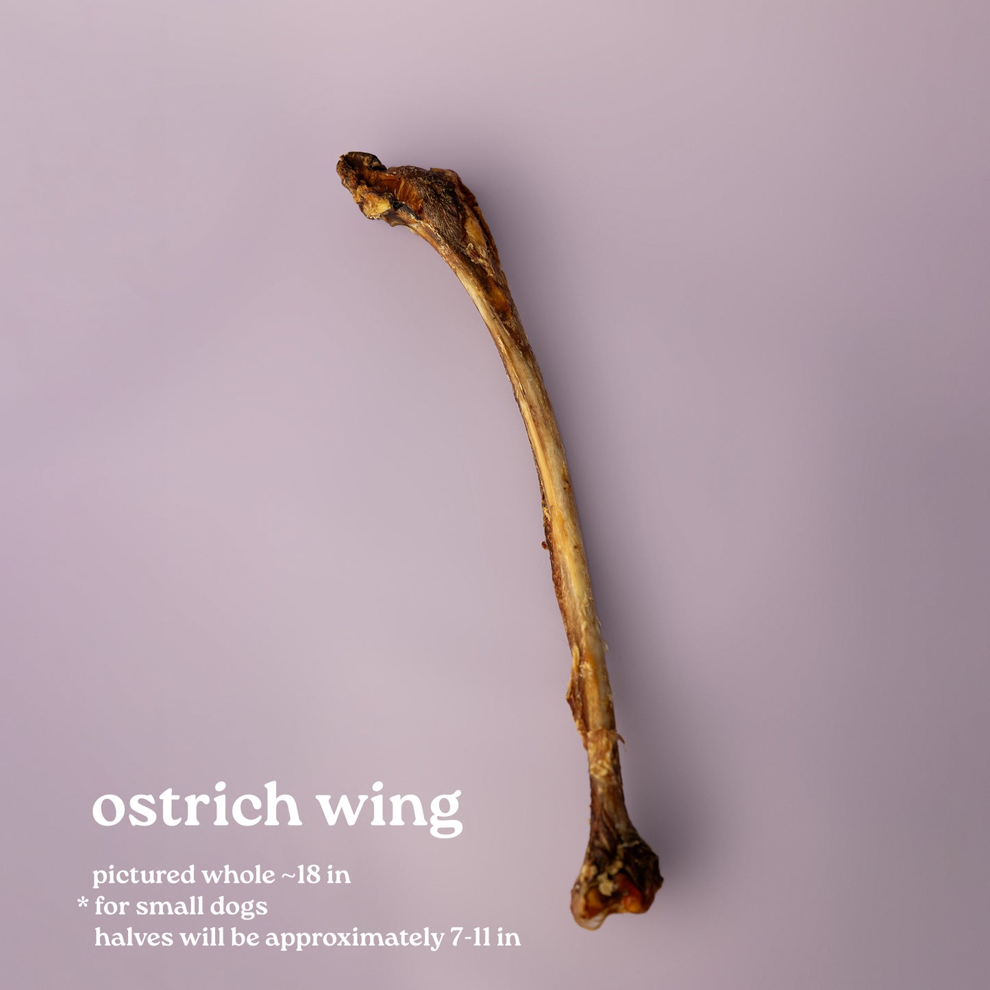Ostrich wing on a purple background. Ostrich for small dog