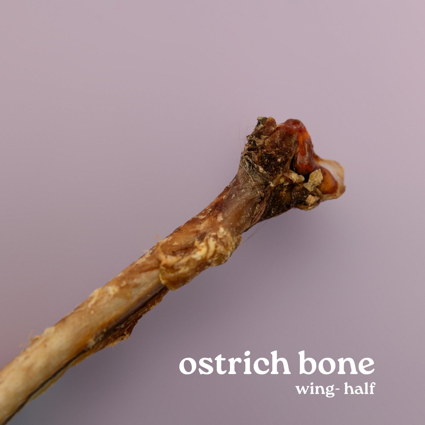 Exotics: Ostrich Bones