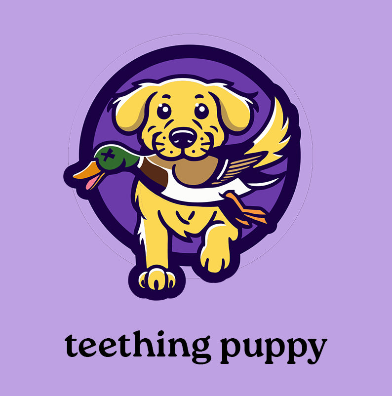 Growing Puppy Boxes
