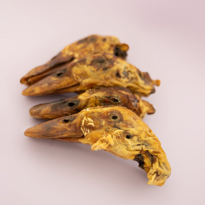 Duck Parts