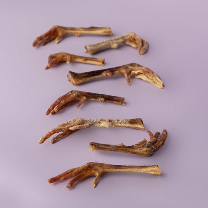 FEET! Chicken Feet, Duck Feet, Pheasant Feet, Turkey Feet