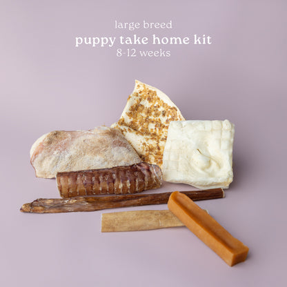 Growing Puppy Boxes