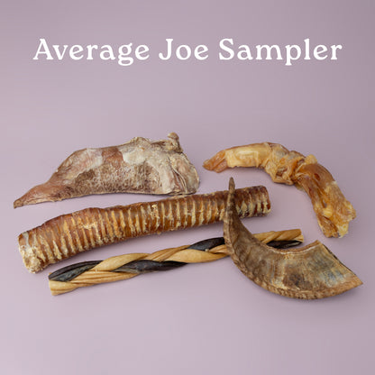 Samplers