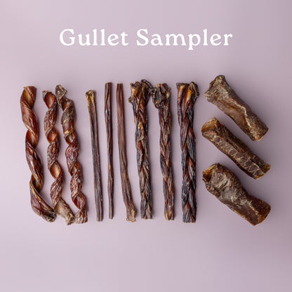 Samplers