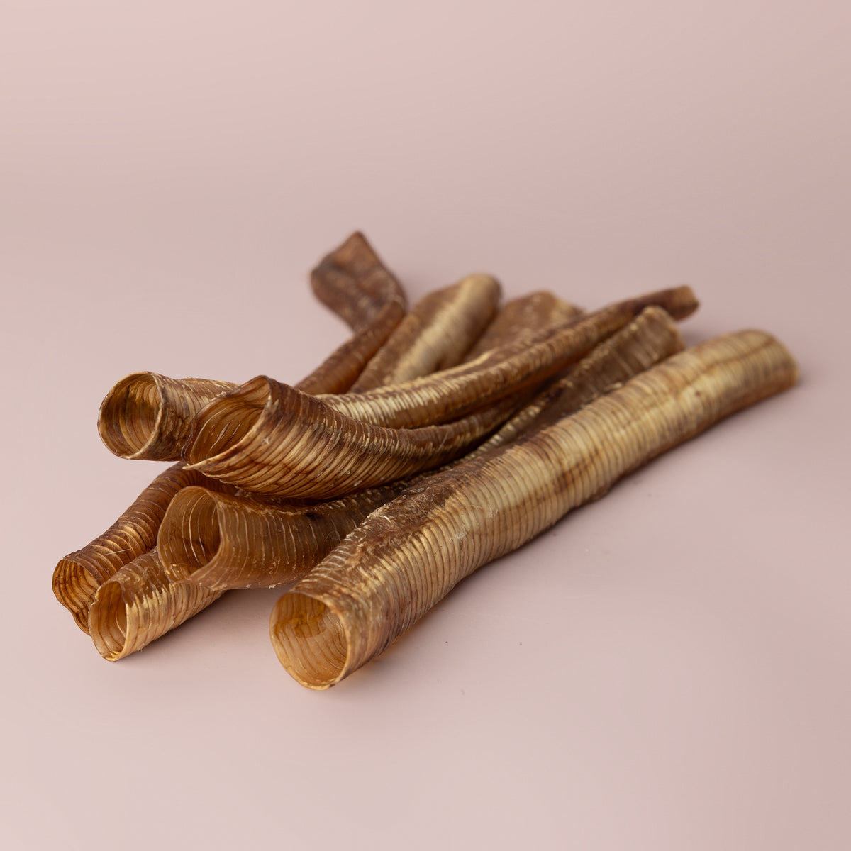 Ostrich Bones