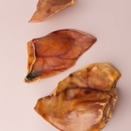 Pig’s Ear