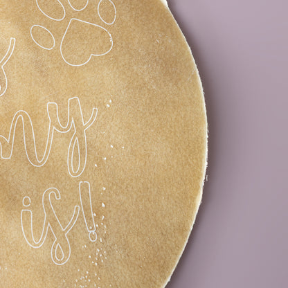 Frisbee Collagen Disc