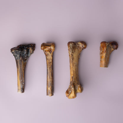 Ostrich Bones