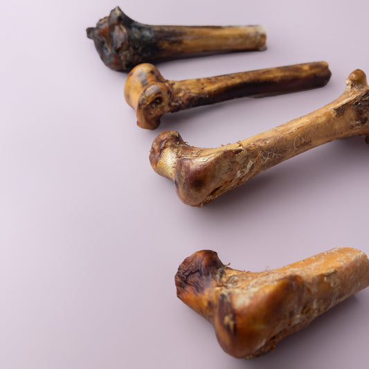 Ostrich Bones