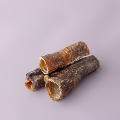 Trachea