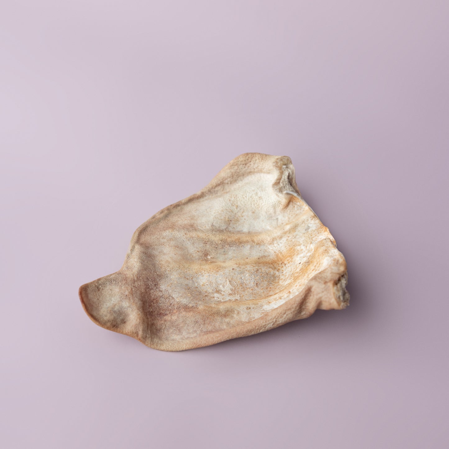 Freeze Dried Pig’s Ear