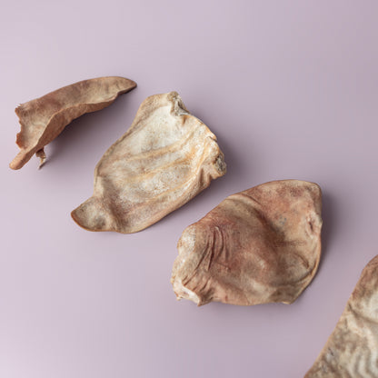 Freeze Dried Pig’s Ear