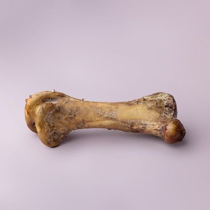 Ostrich Bones