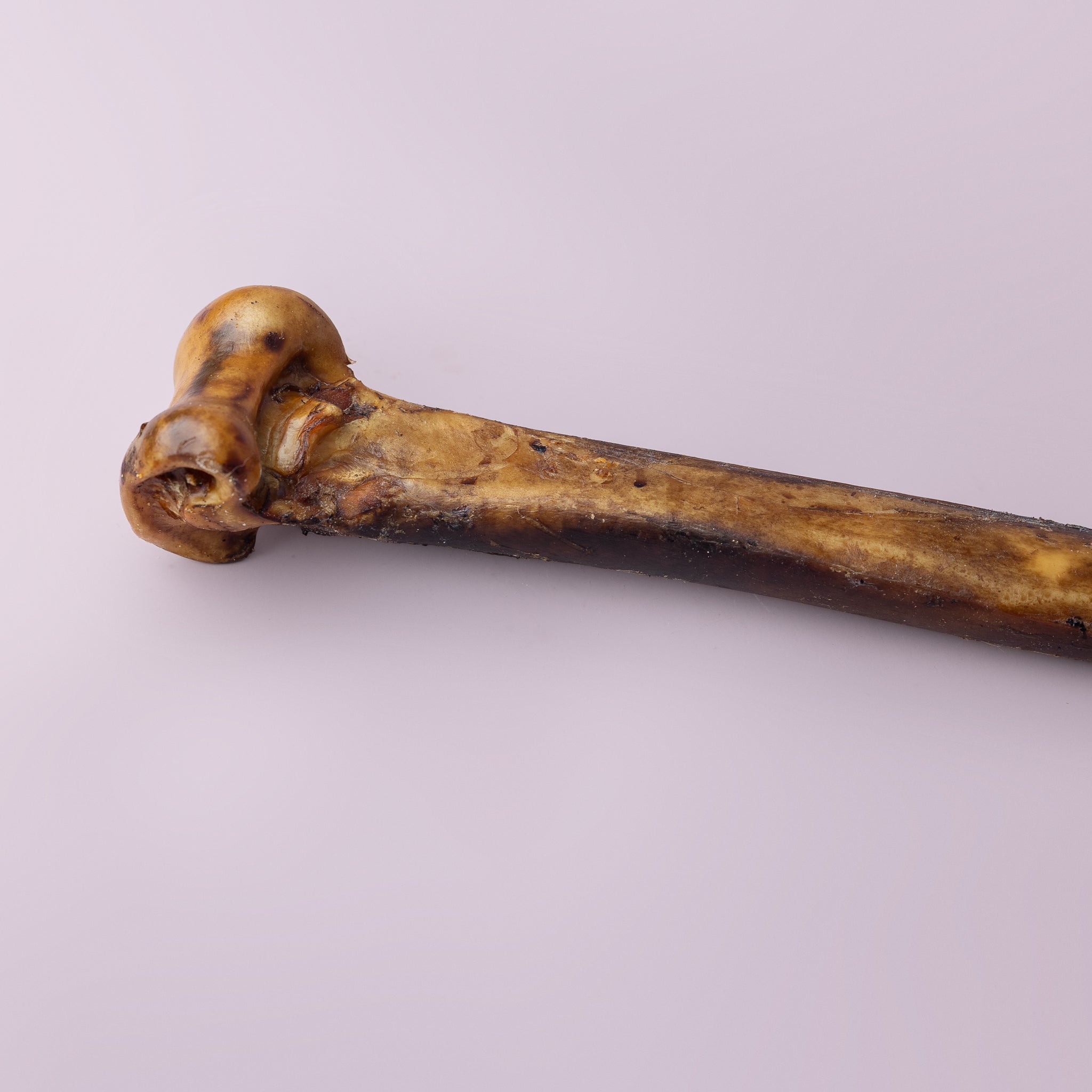 Ostrich Bones - Power Chewer Dog Treats | Non-Splintering Natural
